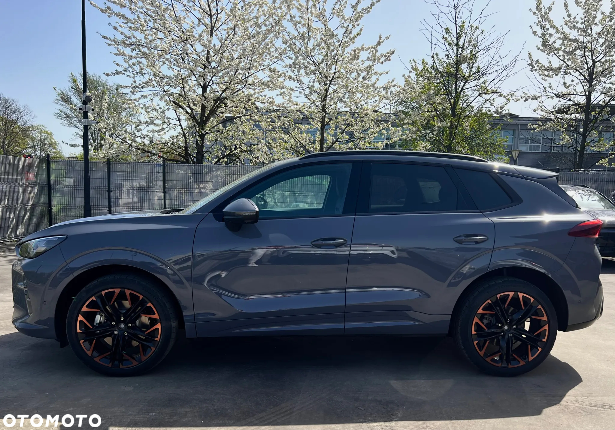 Cupra Terramar 2.0 TSI 4Drive DSG - 6