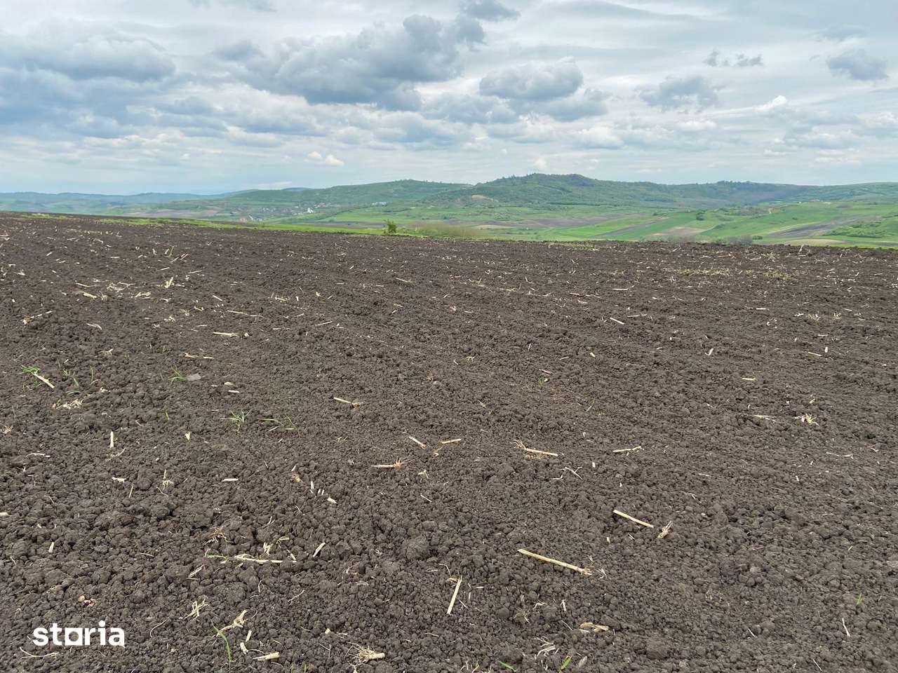 Teren extravilan, 10.200mp, Țagu - Imagine principală: 3/7