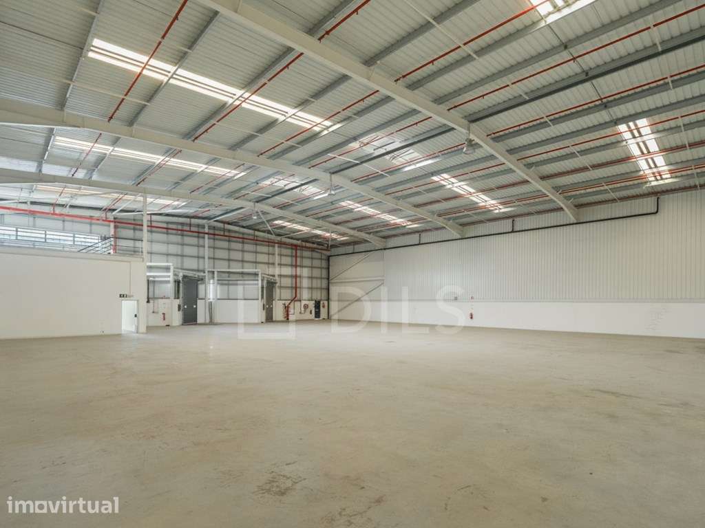 Armazém para arrendar - Centro Empresarial Imolezirias, Benavente - Grande imagem: 4/25