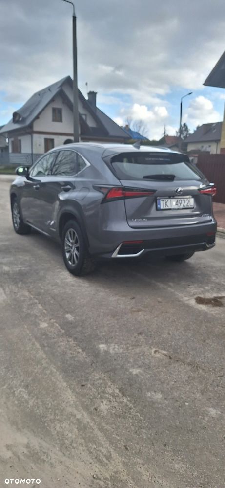 Lexus NX - 18