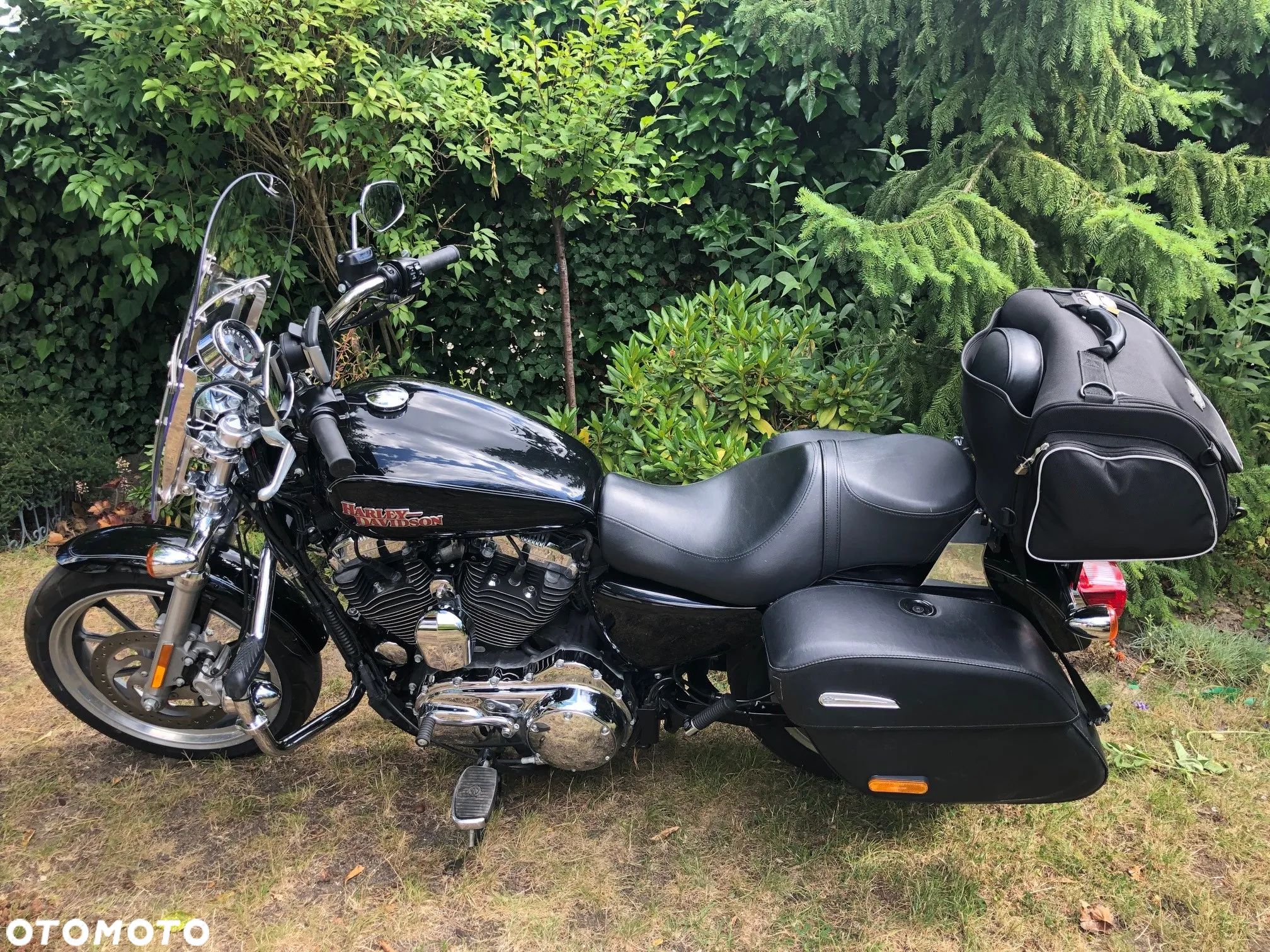 Harley-Davidson Sportster Superlow - 1