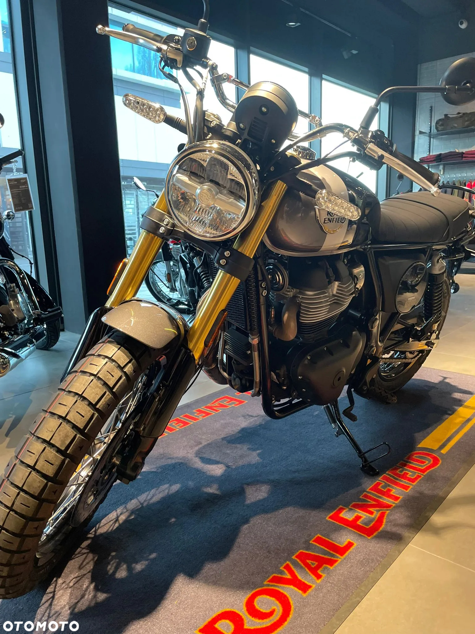 Royal Enfield Bear 650 - 7