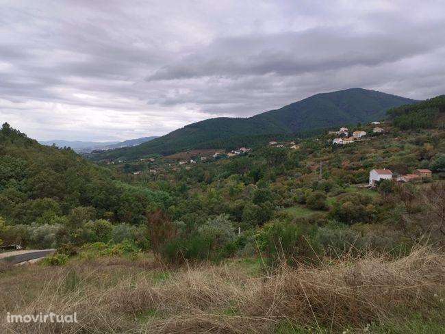 Moradia para recuperar - Grande imagem: 4/20