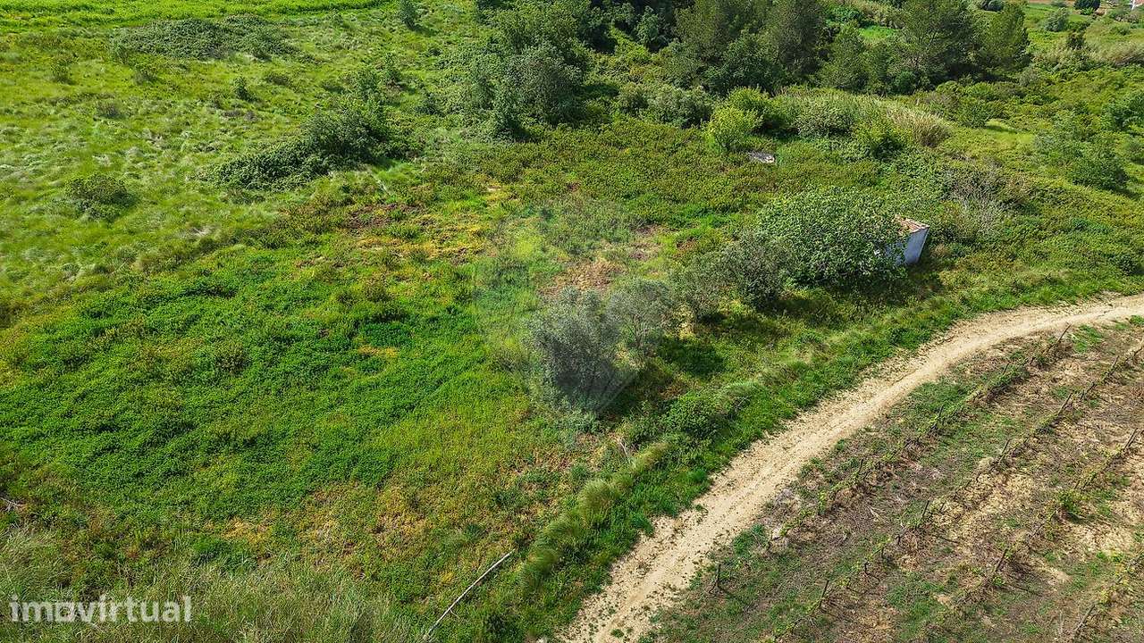 Terreno  para venda - Grande imagem: 3/14