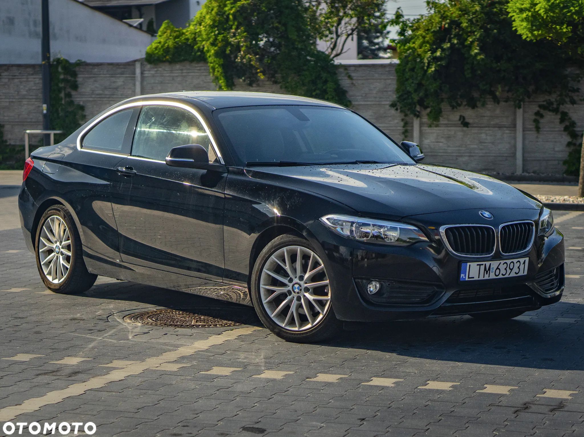 BMW Seria 2 228i - 1