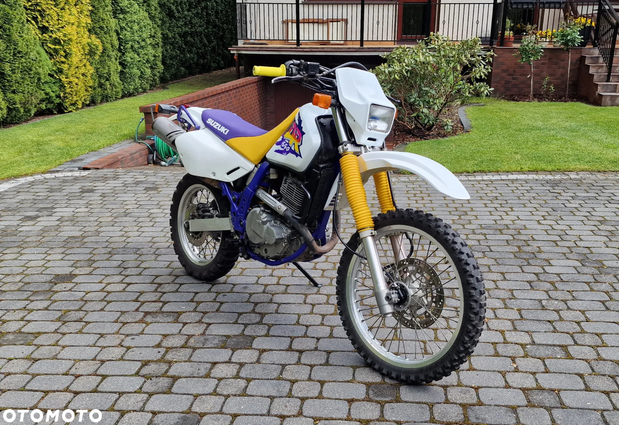 Suzuki DR