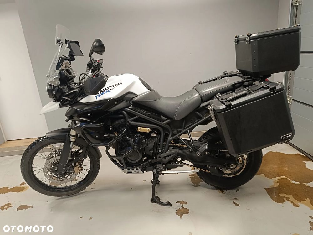 Triumph Tiger - 1