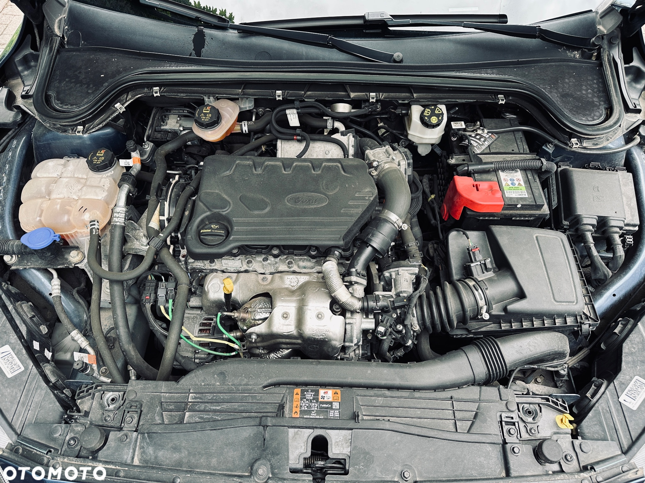 Ford Focus 1.5 EcoBlue Trend Edition - 15