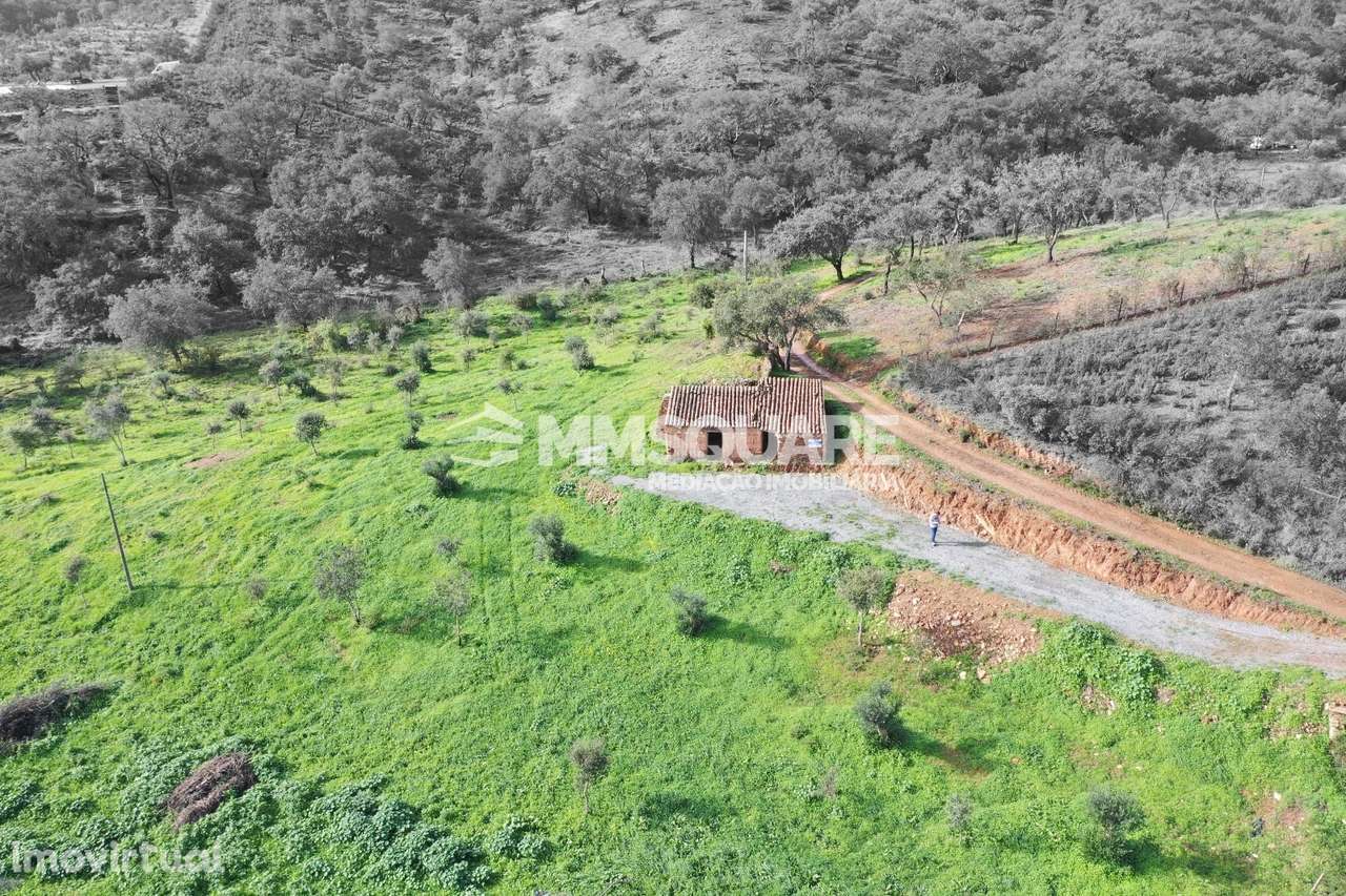 Quintinha  Venda em Garvão e Santa Luzia,Ourique - Grande imagem: 5/20