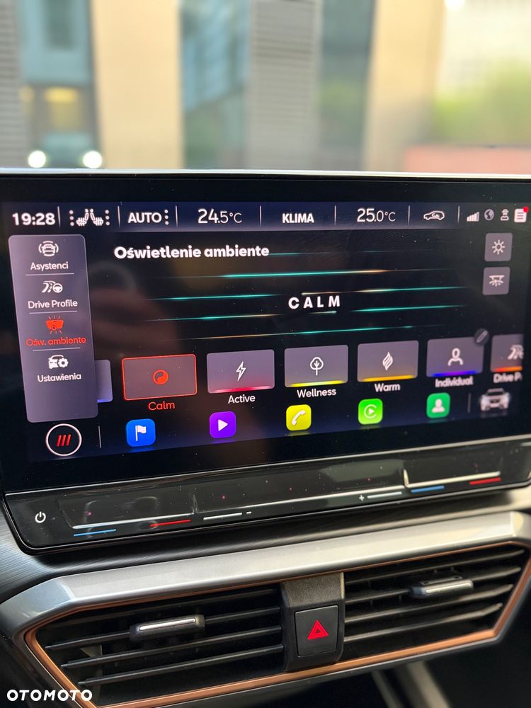 Cupra Formentor 2.0 TSI 4Drive VZ DSG - 35