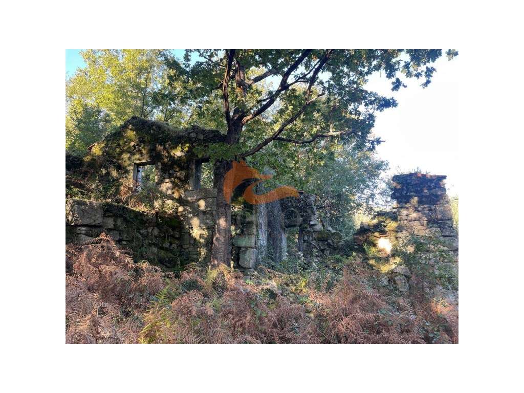 Fantástica quinta situada entre a histórica vila de Avô e a Ponte d...