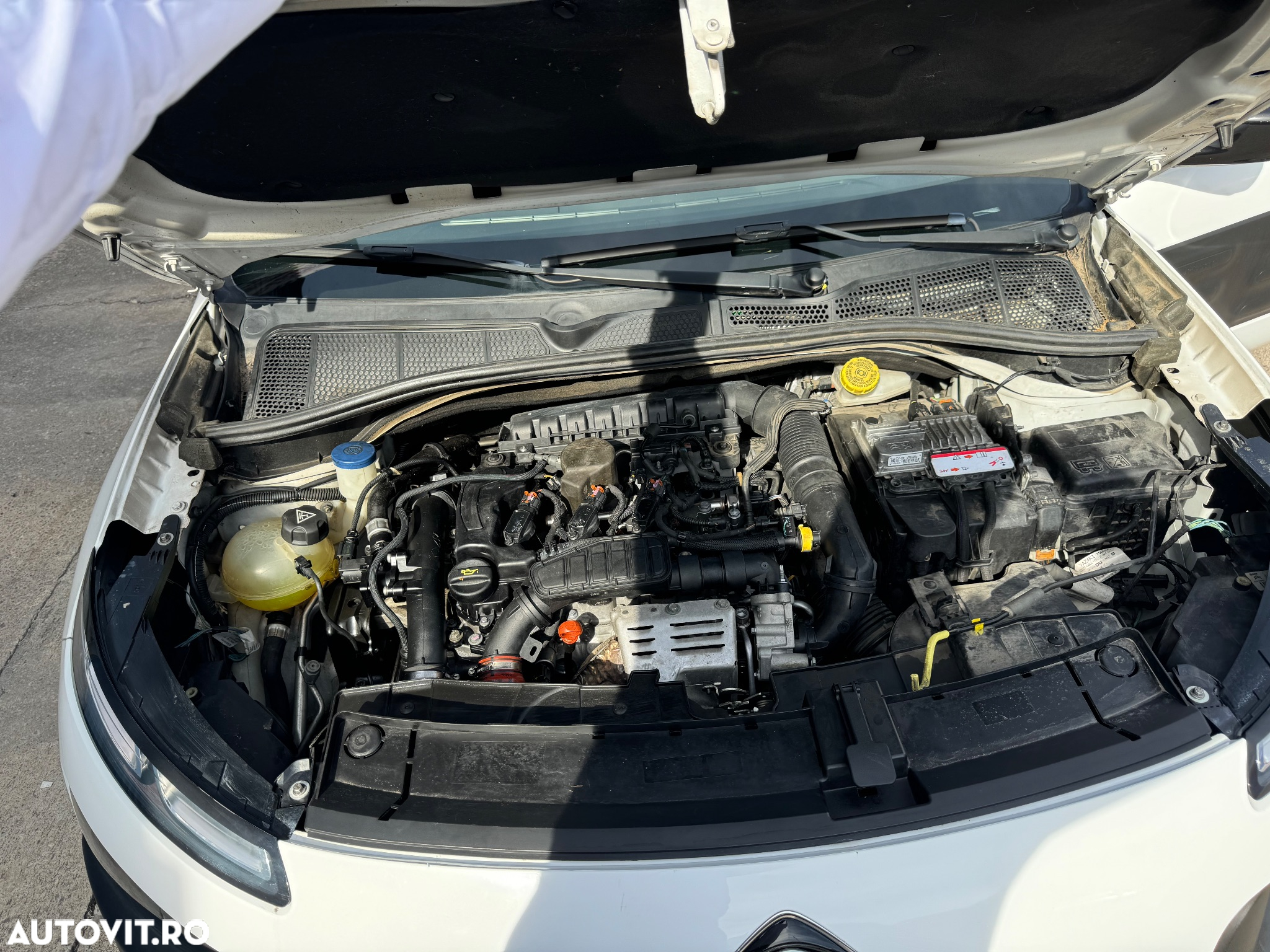 Citroën C4 Cactus PureTech 110 Stop&Start Live - 10
