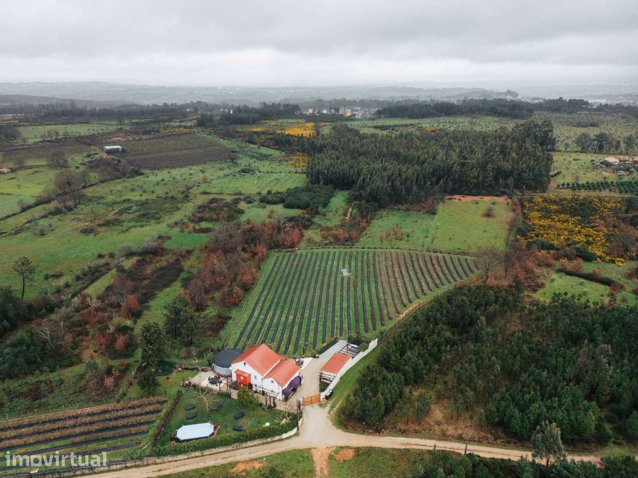 Quinta T4 Venda em Carragozela e Várzea de Meruge,Seia - Grande imagem: 2/32