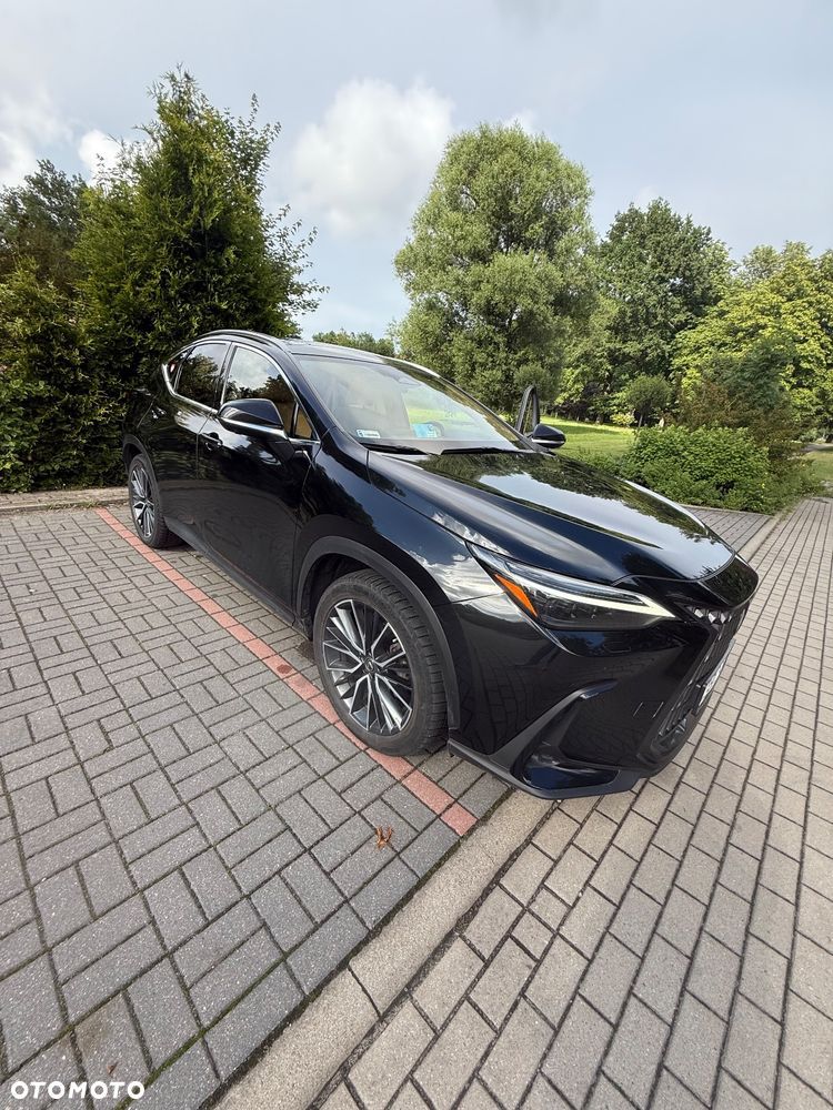 Lexus NX 350h Omotenashi AWD - 1