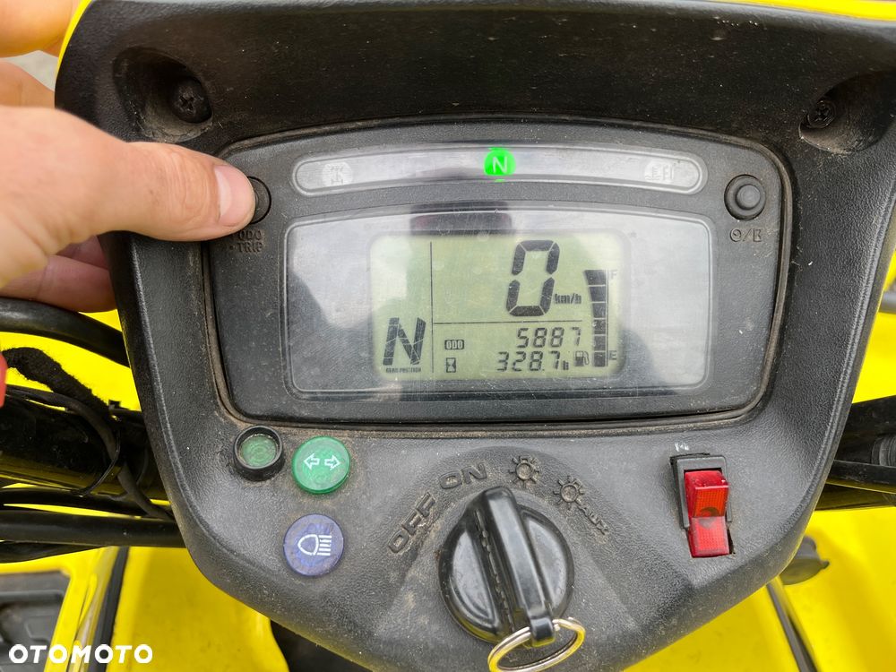 Suzuki Kingquad - 10
