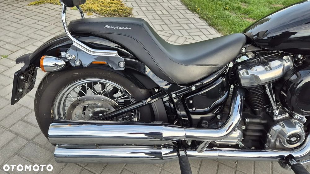 Harley-Davidson Softail Standard - 3