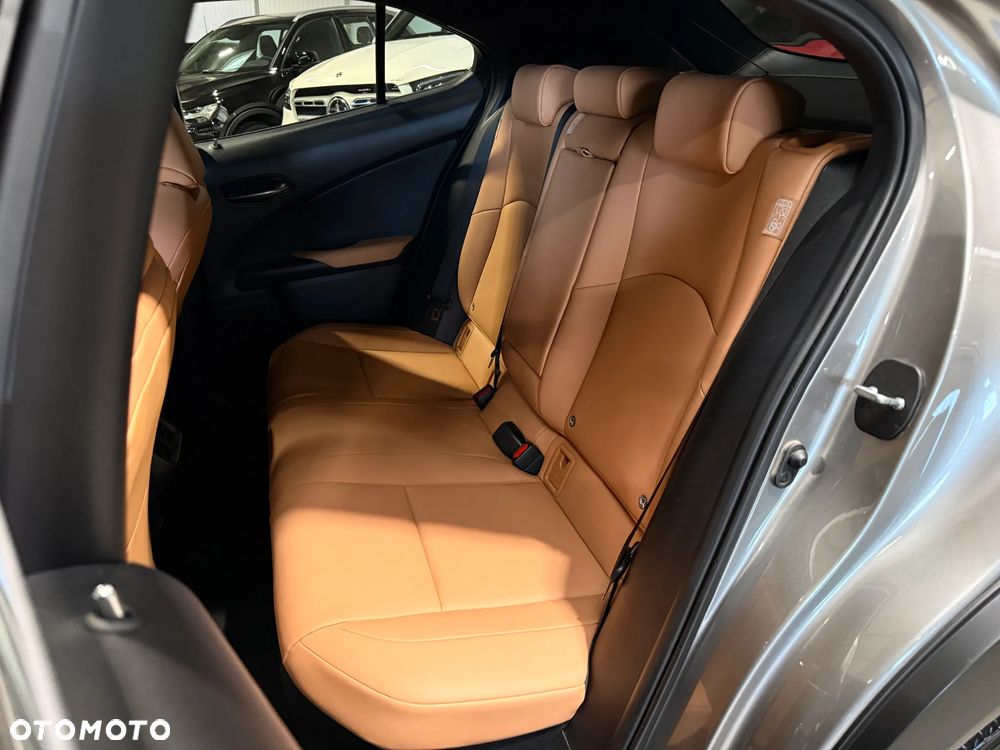 Lexus UX 250h GPF F Sport Design+ 2WD - 9