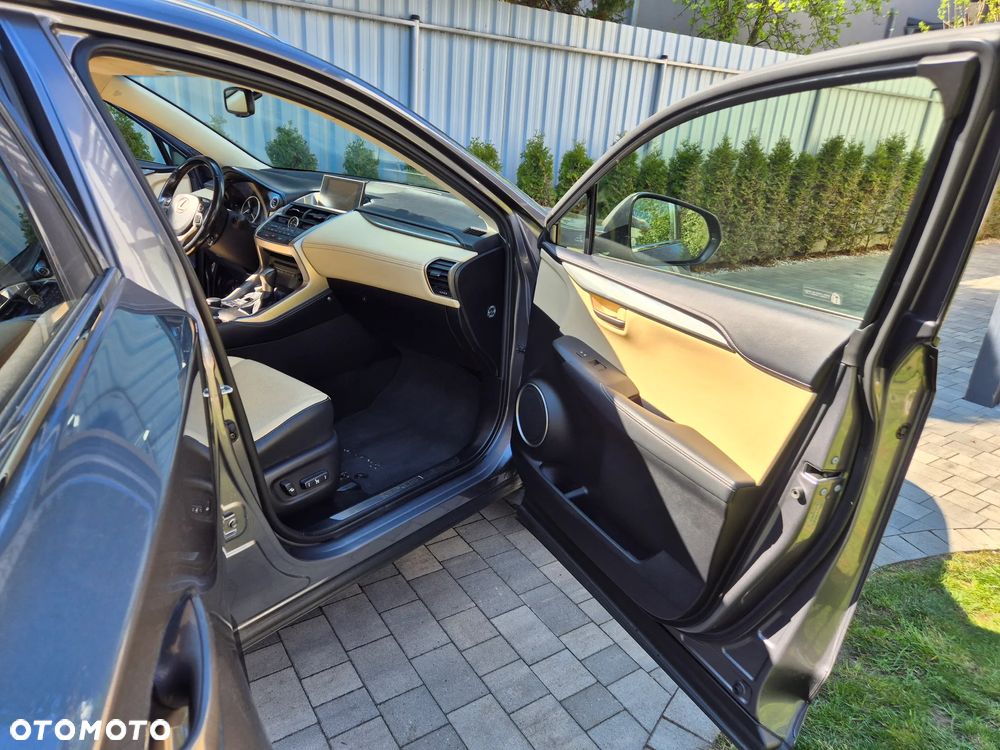 Lexus NX 300h Business Edition AWD - 18