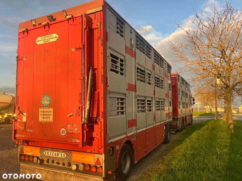 DAF XF 530 Super Space + Przyczepa Pezzaoli - 3X Trzoda, 2 X Bydło I 3 poziomy I Podnoszony dach I Hydroburta I Osie Skrętne I Poidła I Wentylatory I Pilot Manualny | - 2