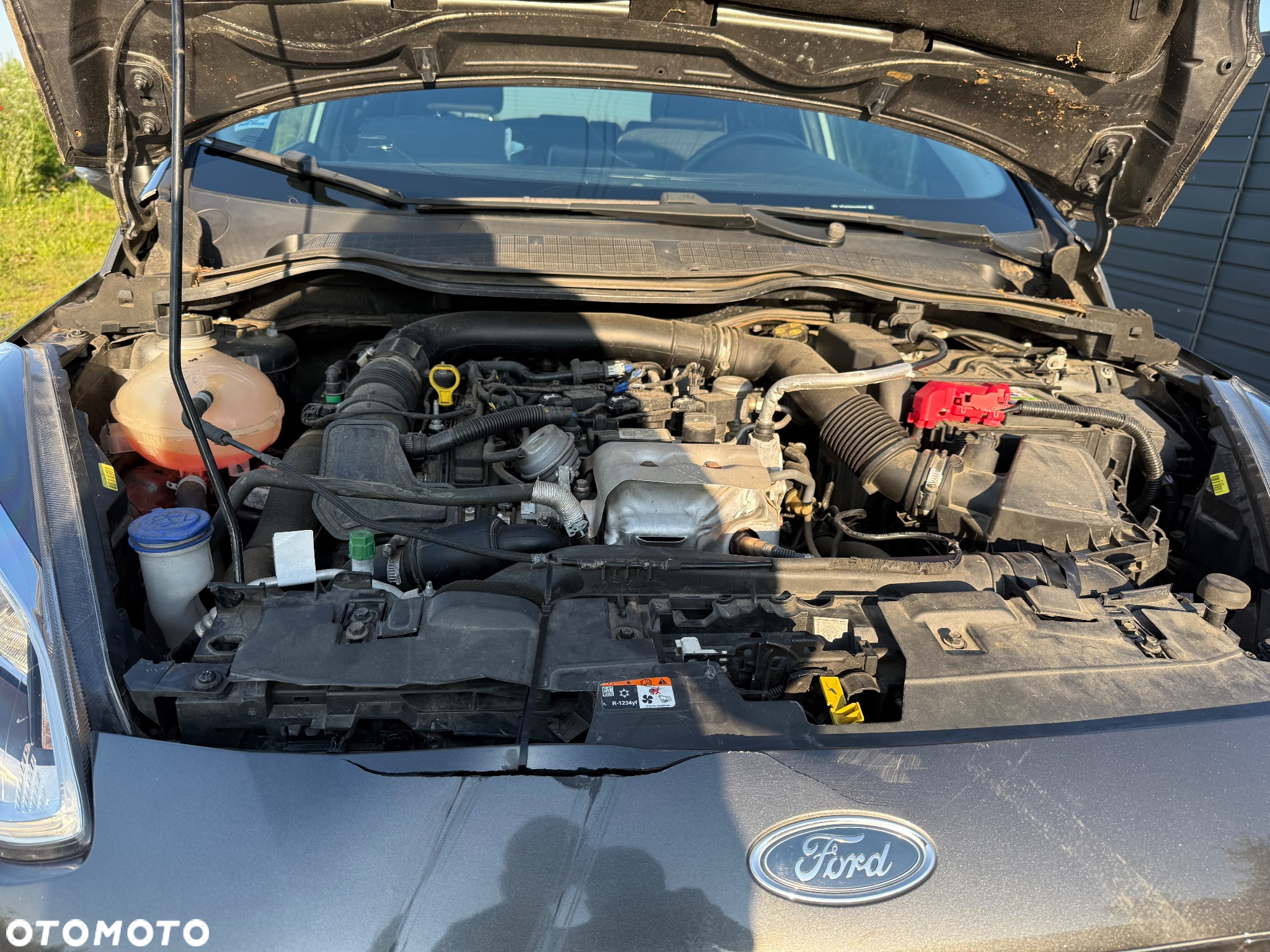 Ford Fiesta - 24