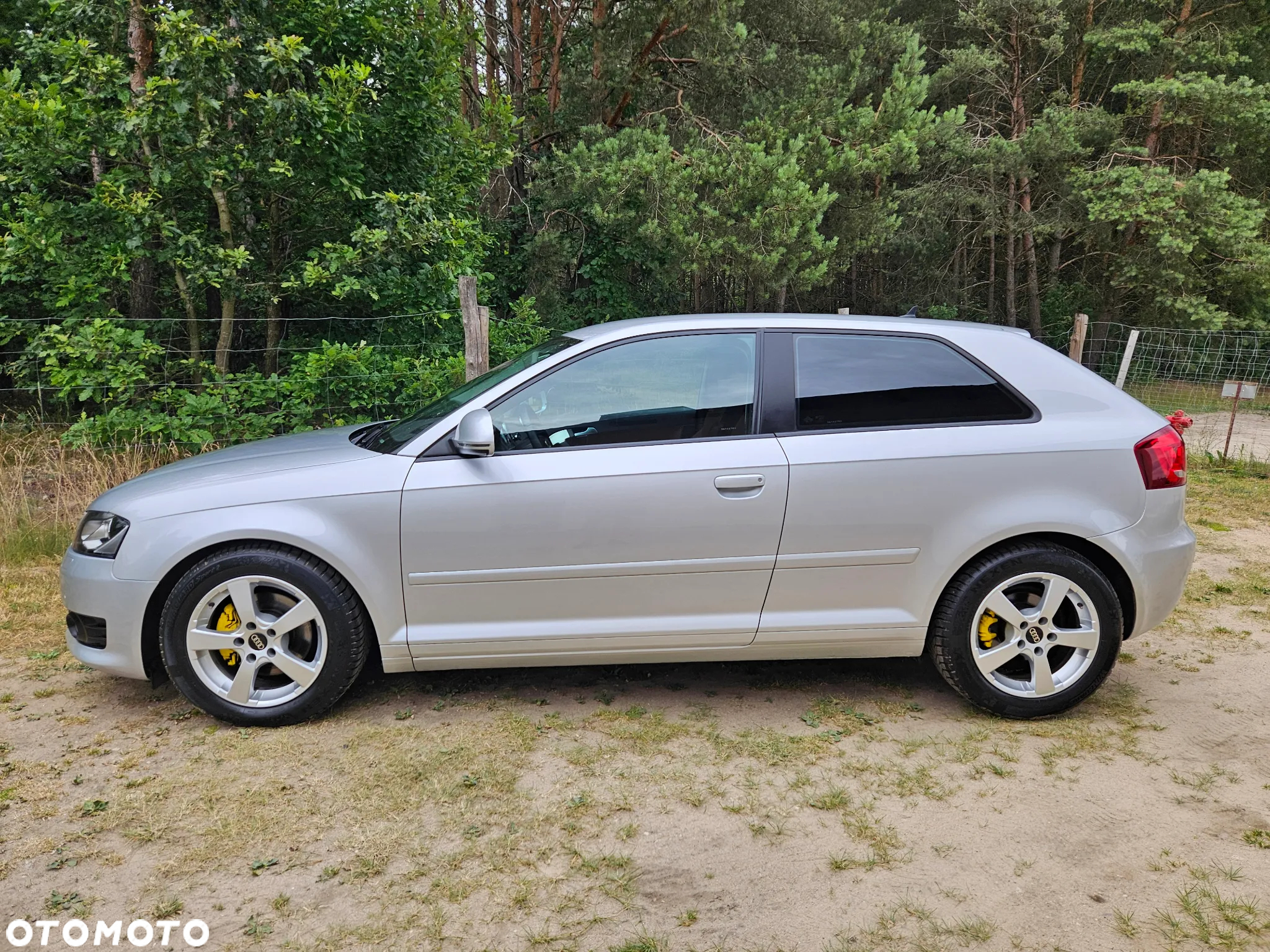 Audi A3 2.0 TDI DPF Prime Line - 3