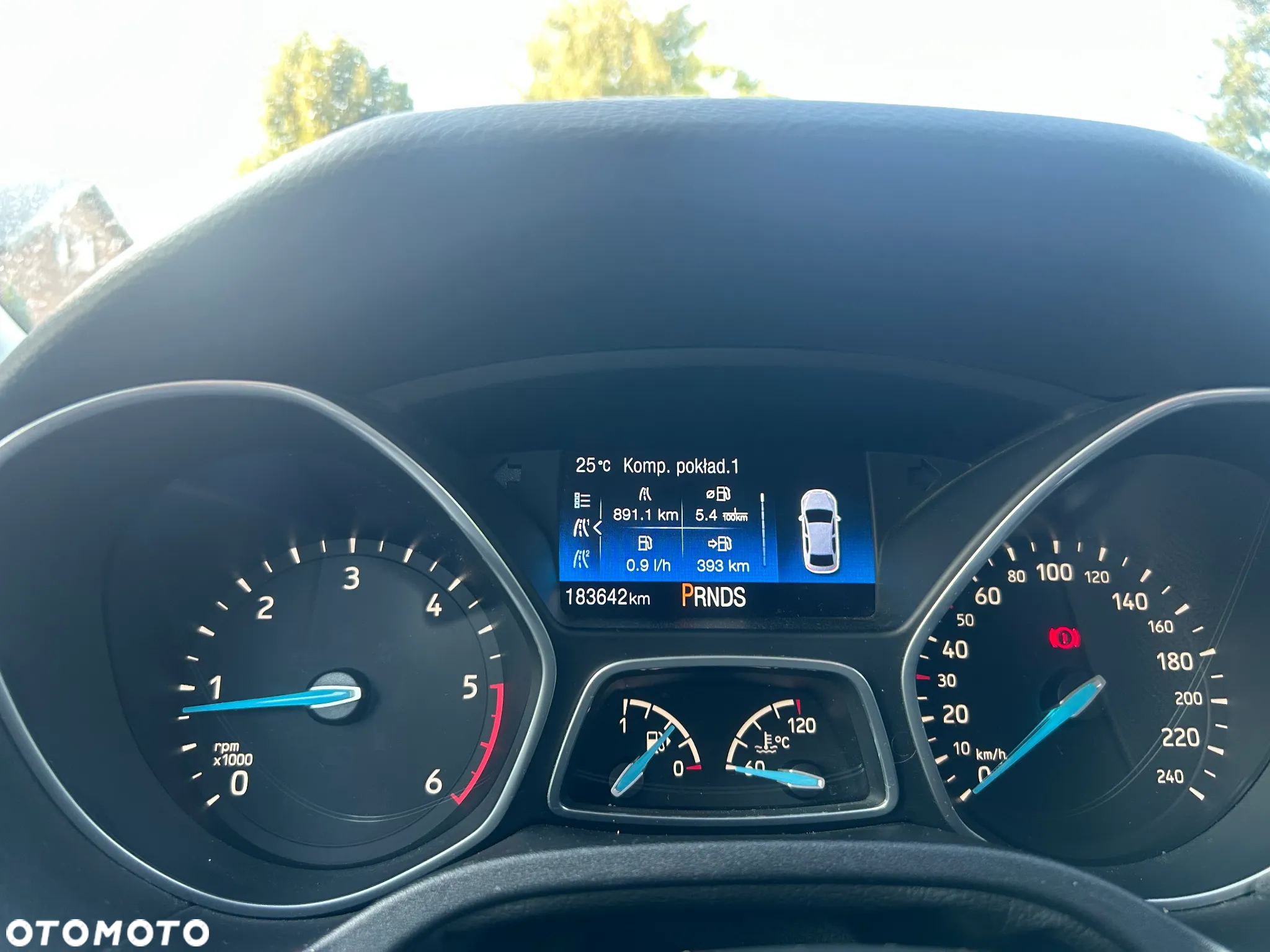 Ford Focus - 17