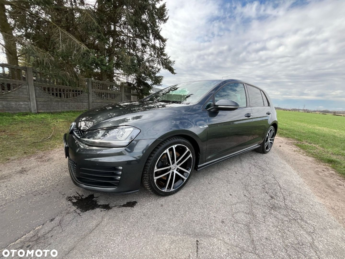 Volkswagen Golf - 36