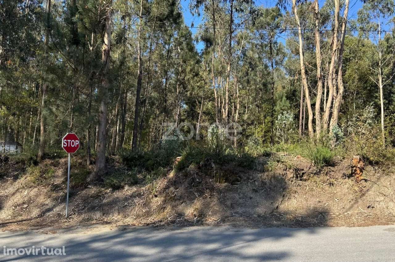 Terreno Urbano em Jesufrei , Vila Nova de Famalicão - Grande imagem: 2/19
