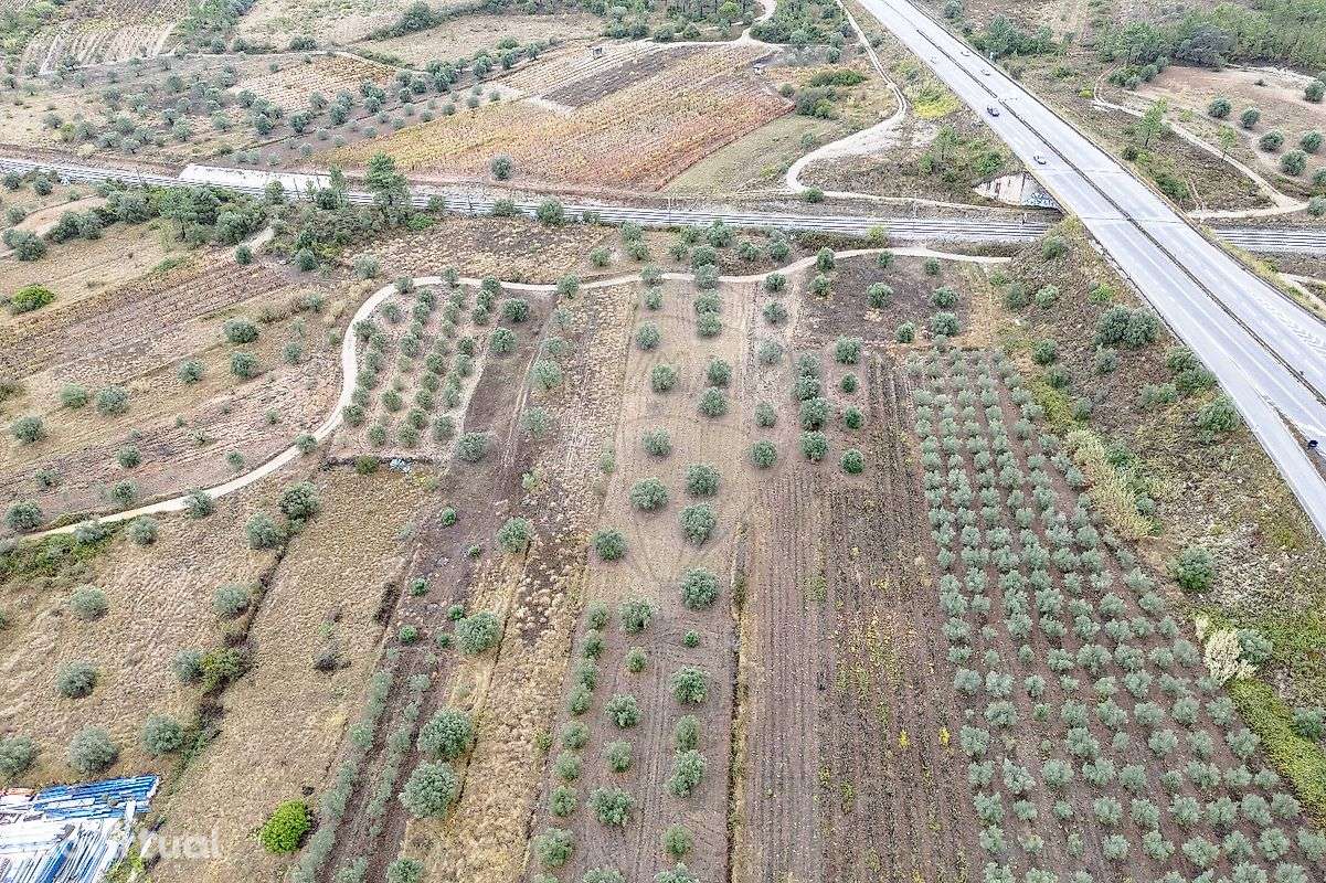 Industrial  para venda - Grande imagem: 2/7