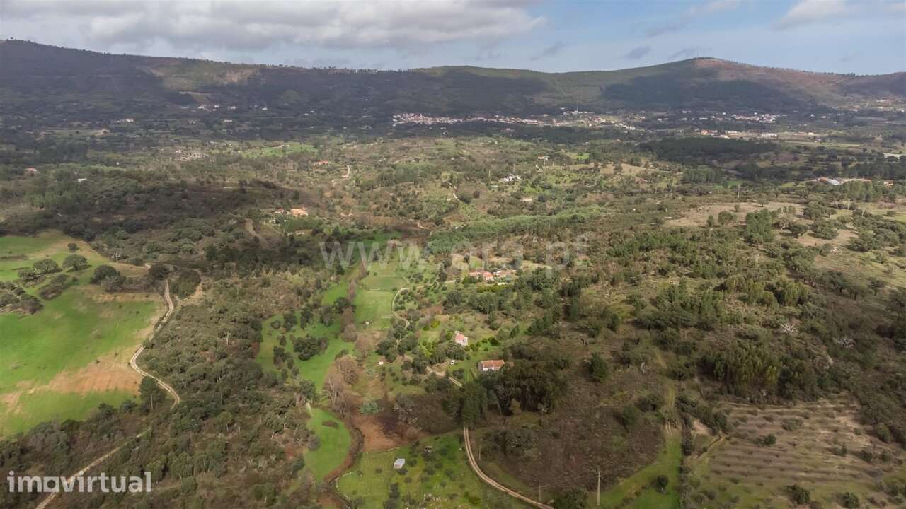 Quintinha T1 / Fundão, Vale Prazeres - Grande imagem: 5/20