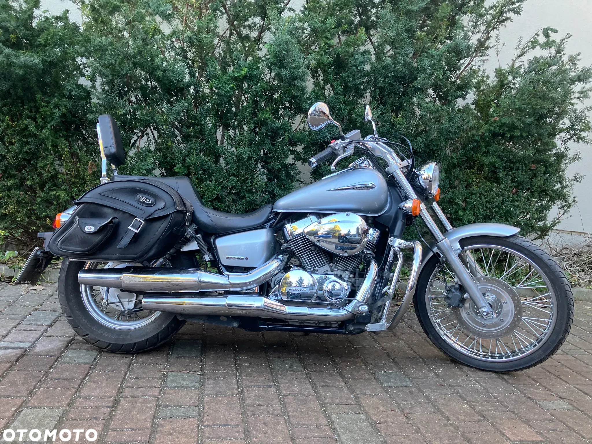 Honda Shadow - 4