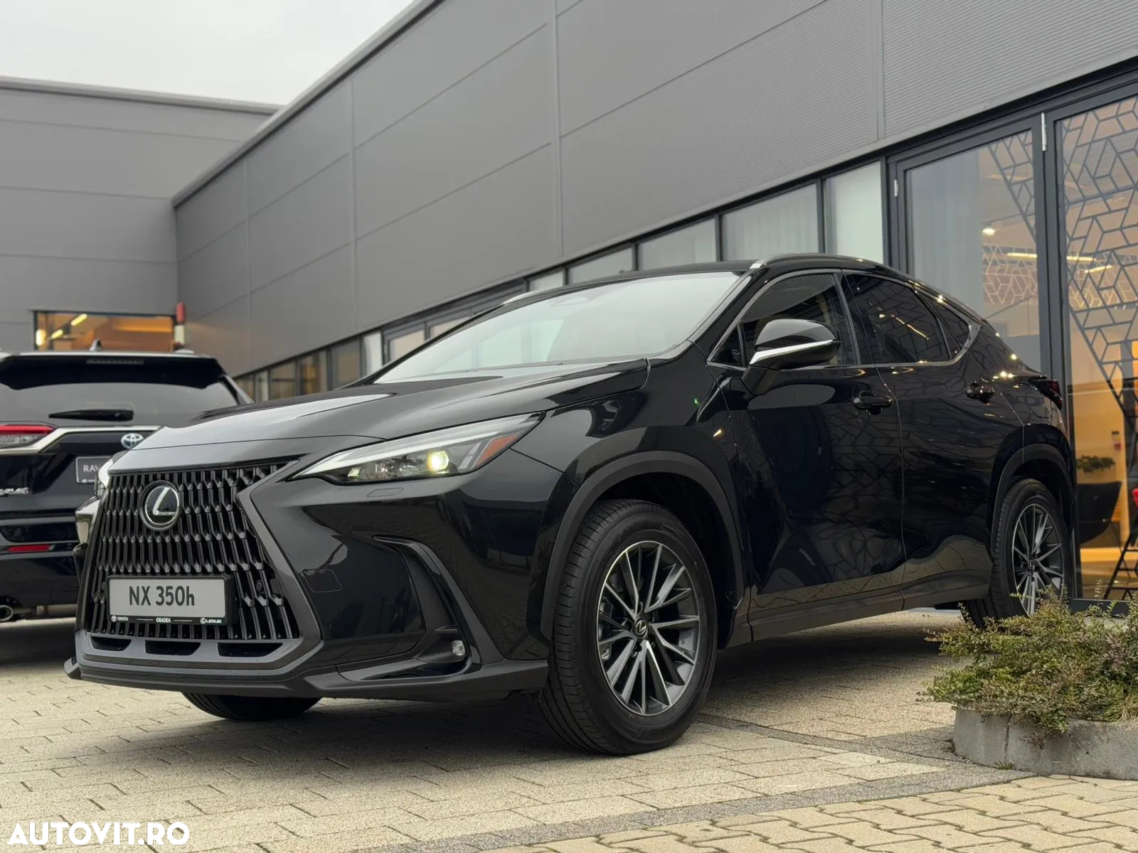 Lexus Seria NX 350h AWD CVT HEV Executive - 2