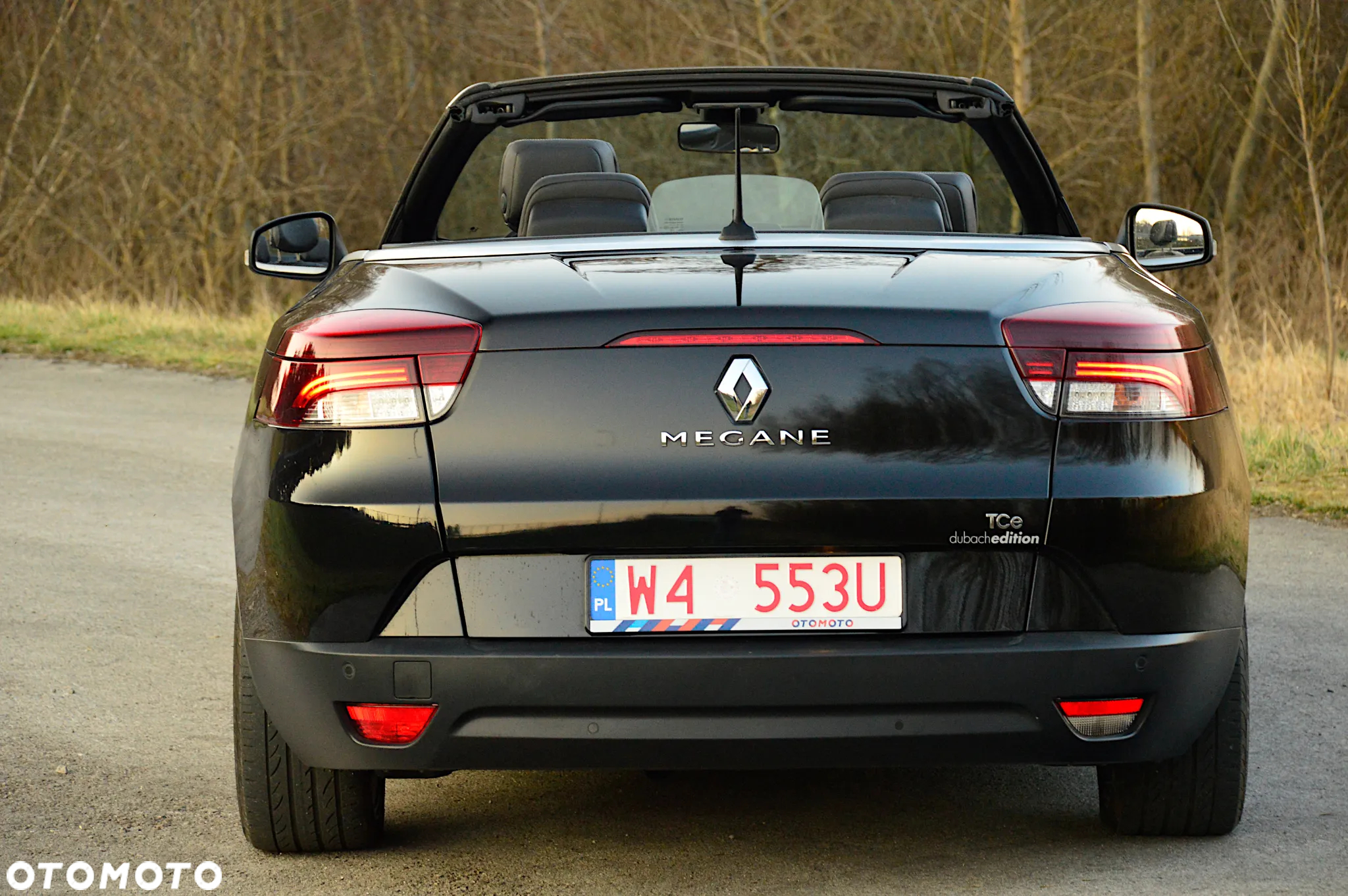 Renault Megane 1.3 TCe FAP Limited - 24