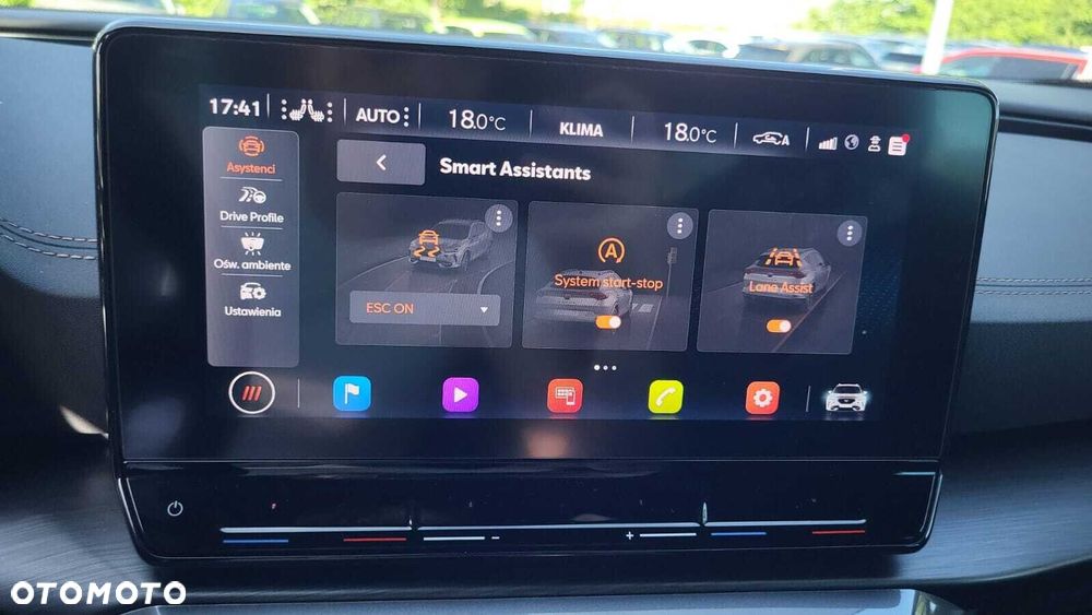 Cupra Formentor 2.0 TSI 4Drive DSG - 33