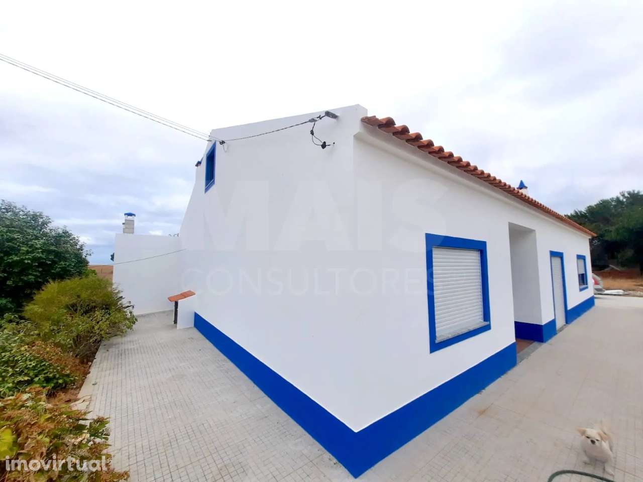 Moradia Térrea V3 com terreno urbano de 3780m2 no Alentejo - Grande imagem: 3/47