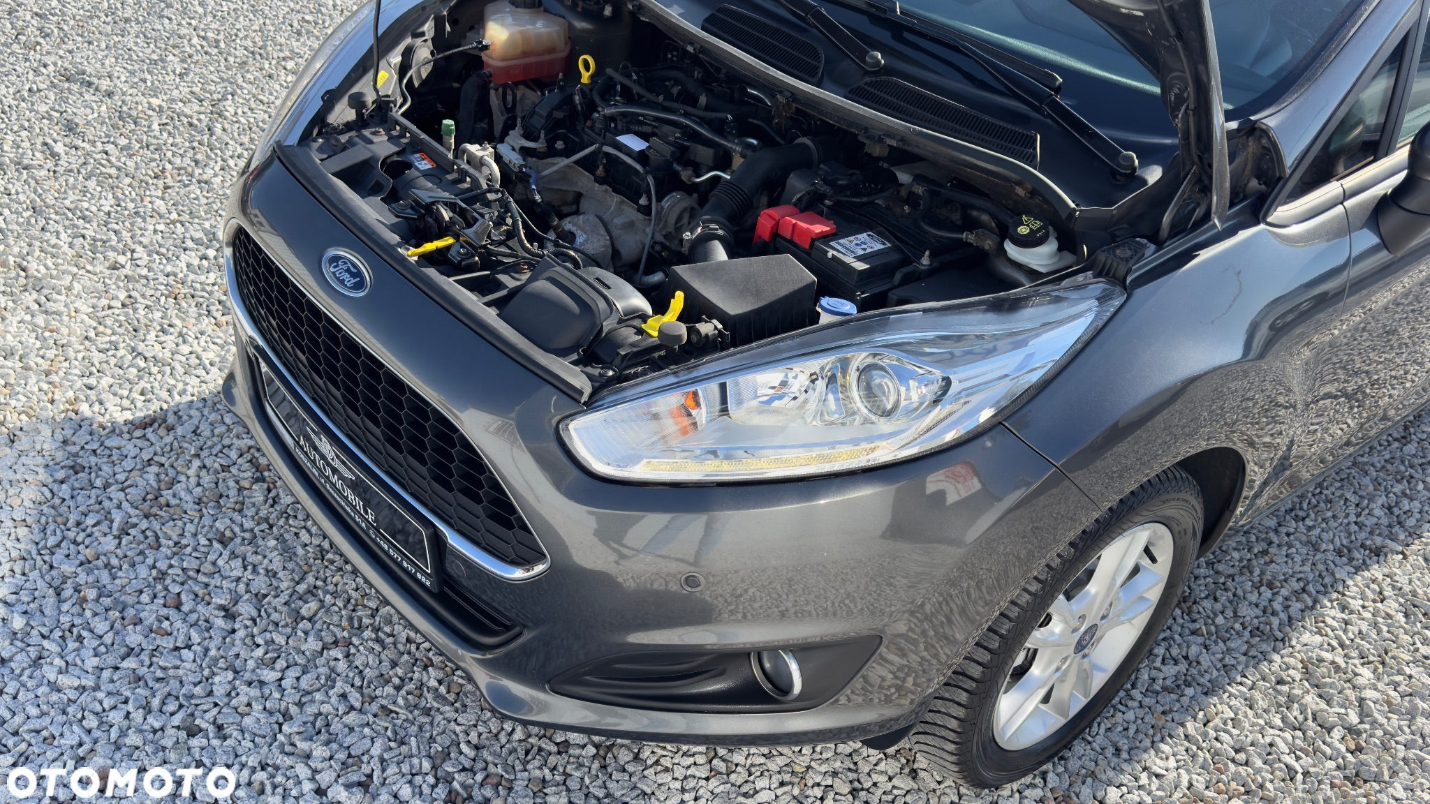 Ford Fiesta - 26