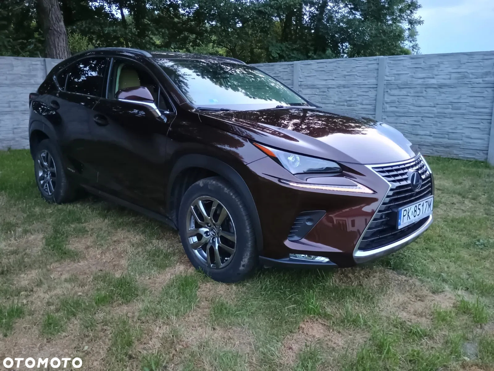 Lexus NX 300h Elegance AWD - 11