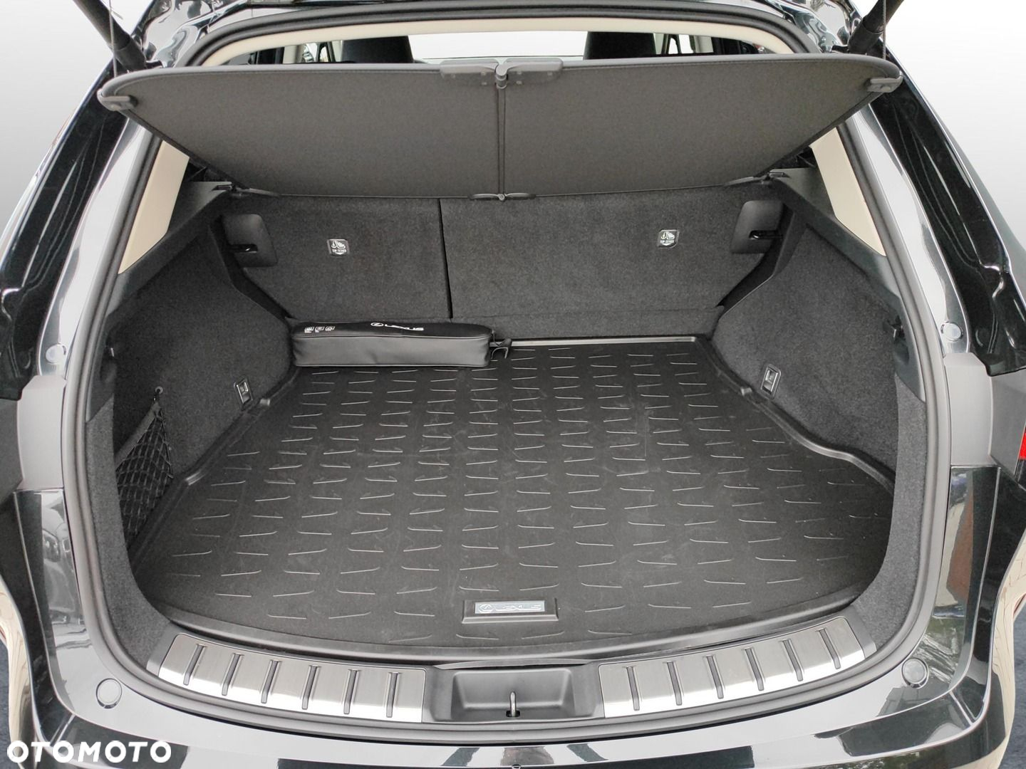 Lexus NX - 19