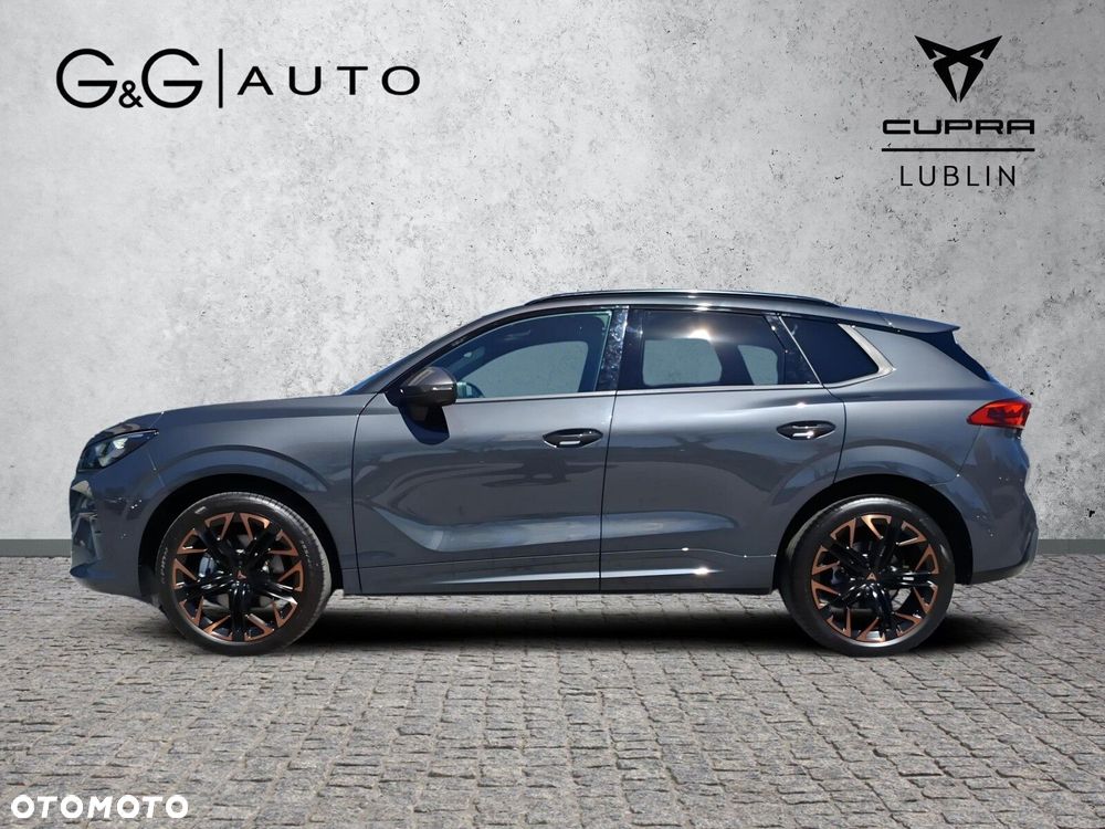 Cupra Terramar - 3