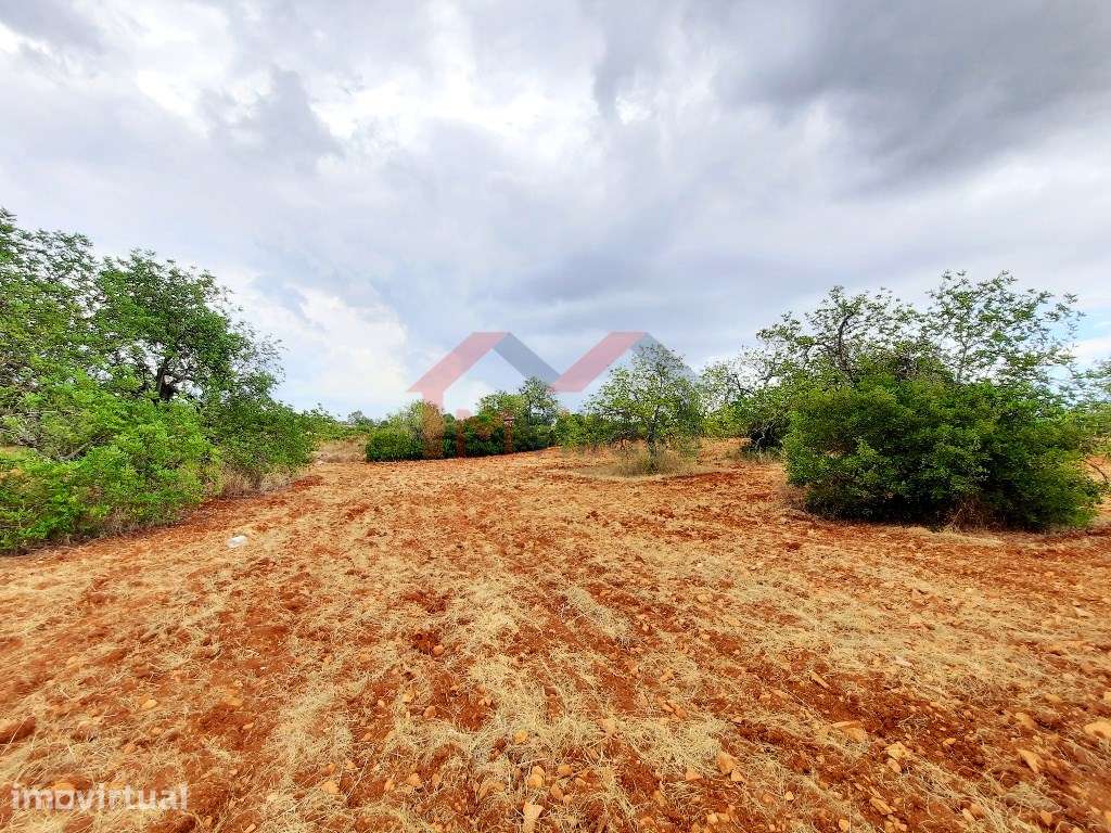 Terreno para construção - Almancil - Grande imagem: 4/4