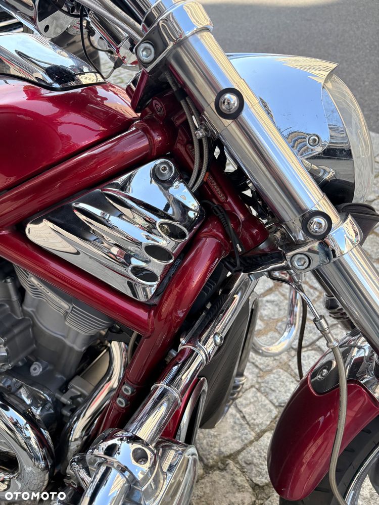 Harley-Davidson Softail V-Rod - 13