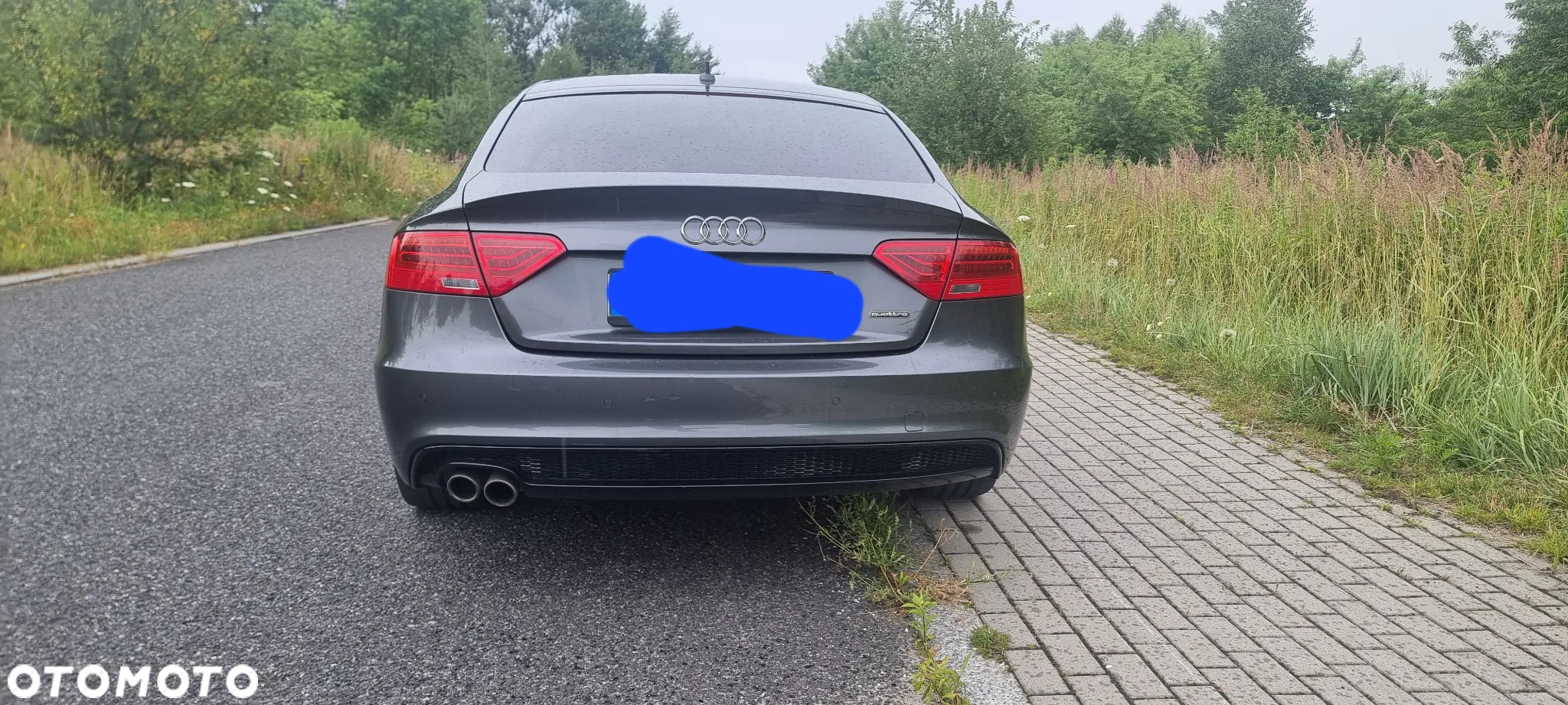 Audi A5 2.0 TDI Sportback quattro DPF S tronic - 2