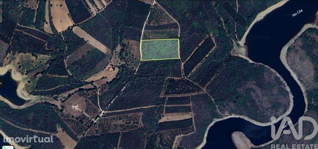 Terreno Agrícola em Sabugal e Aldeia de Santo António - Grande imagem: 3/4