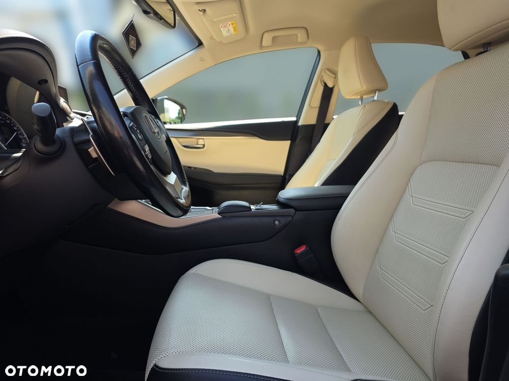 Lexus NX 300 Comfort AWD - 13