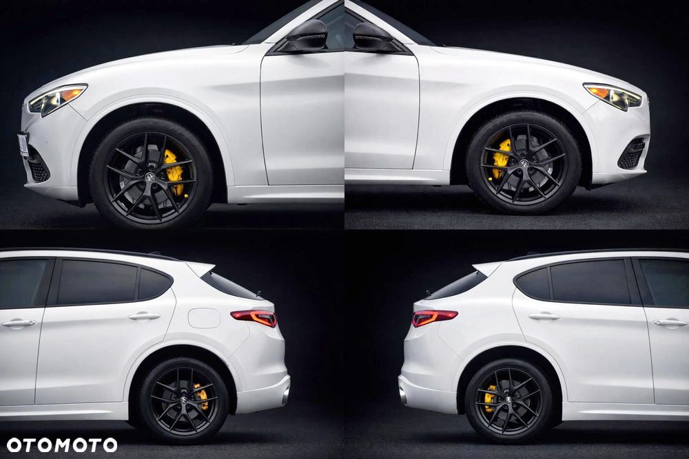 Alfa Romeo Stelvio 2.0 Turbo 16V AT8-Q4 Veloce Ti - 8