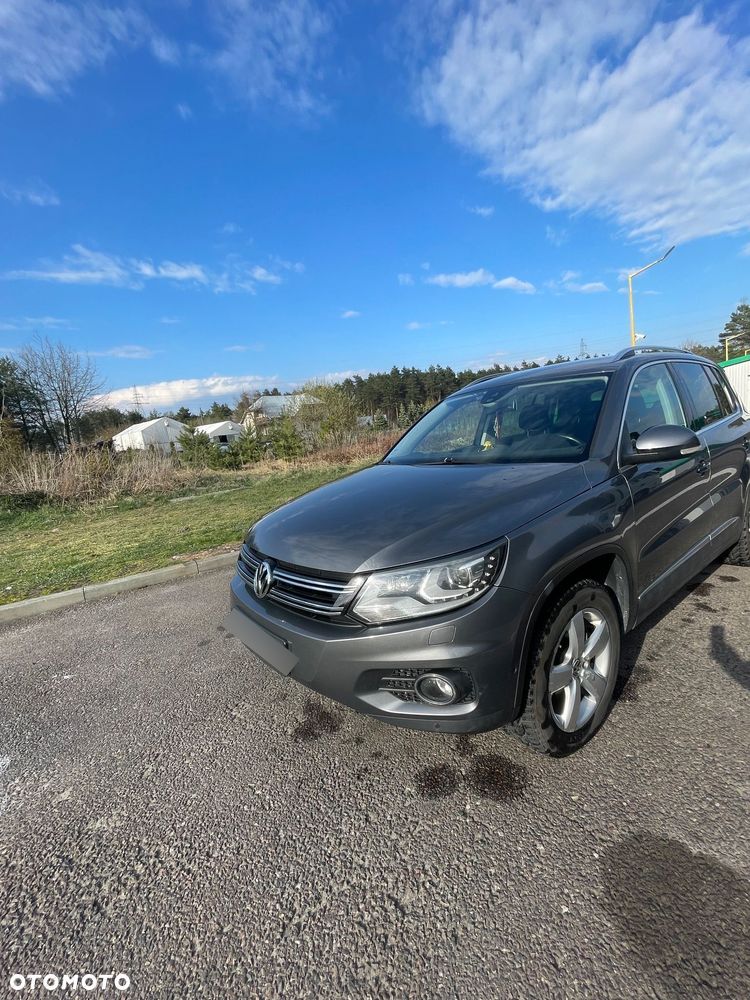 Volkswagen Tiguan - 19