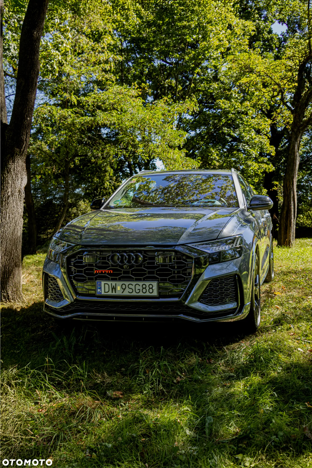 Audi RS Q8 - 35