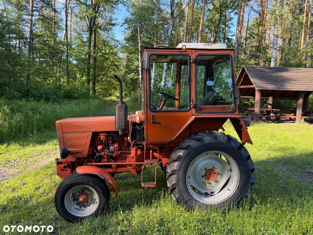 Inny WLADIMIREC T25A - 6