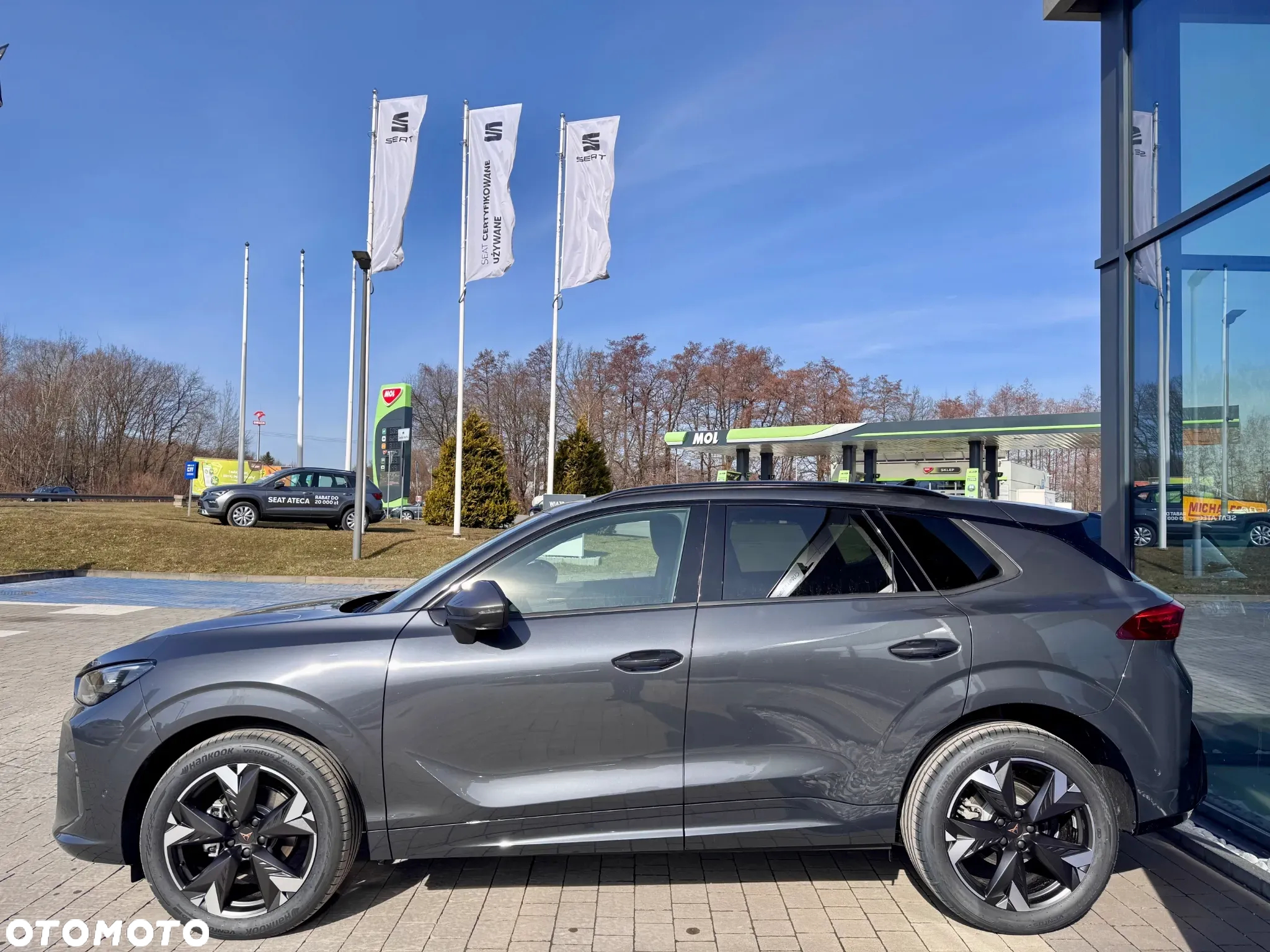 Cupra Terramar 1.5 eTSI mHEV DSG - 7