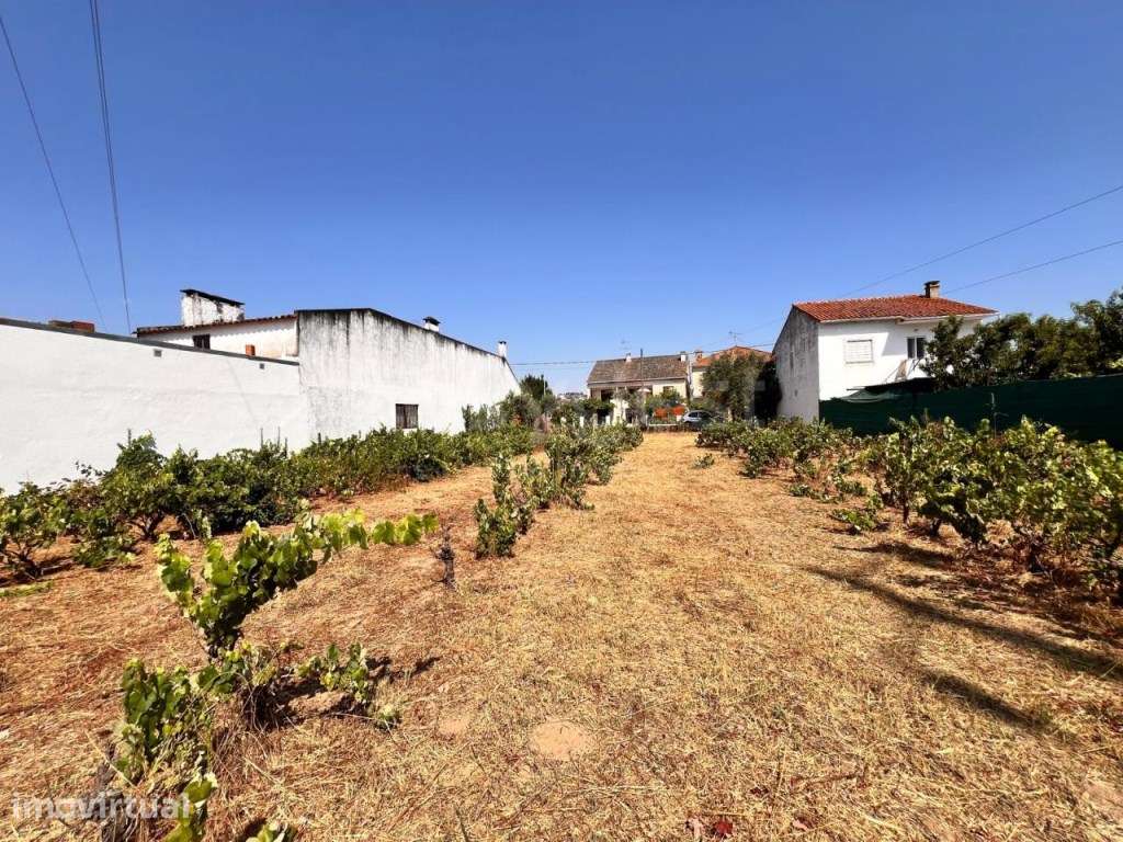 Terreno com possibilidade construção com luz e água em Abrantes - Grande imagem: 3/17